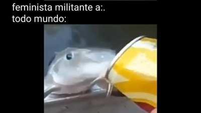Melhor peixe