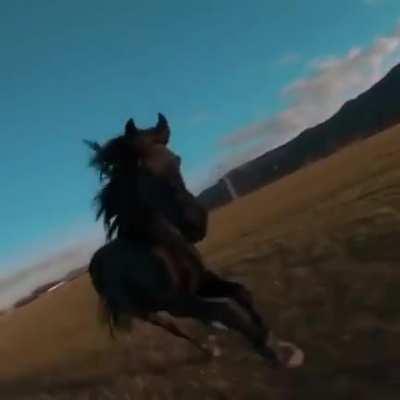 Не стой на пути паровоза