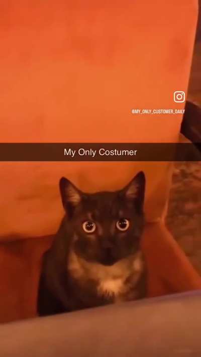 Wunk is only here to fill their ever crippling alcohol addiction.