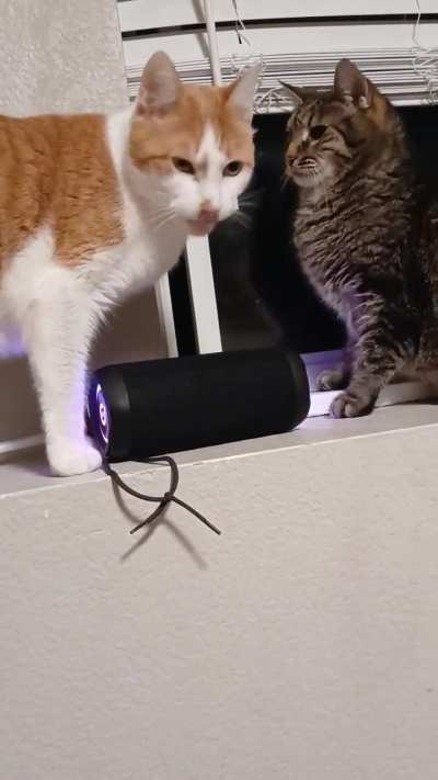 I heard that one, lol.