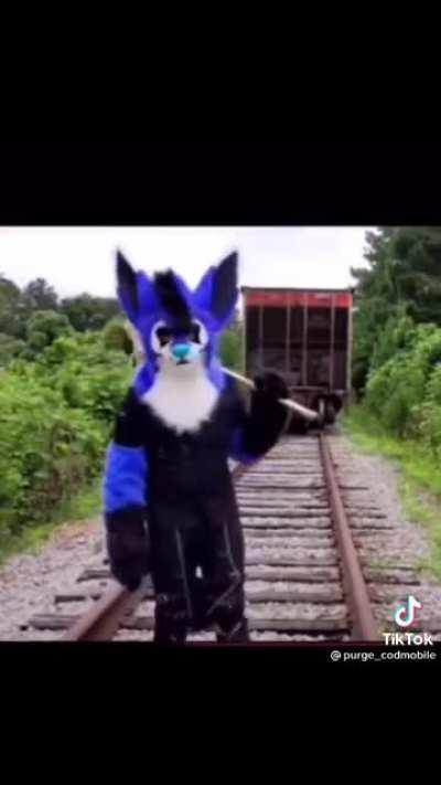 The action was brought, I repeat the action was brought