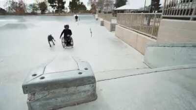 Just a dog being a dude