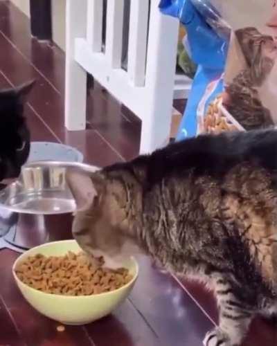 He’s getting that nourishment