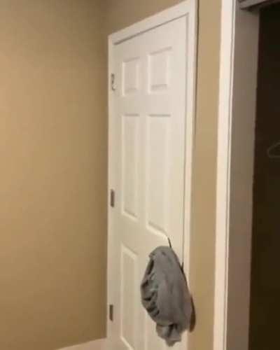 Iron Warriors when they realize their door was made by Imperial Fists