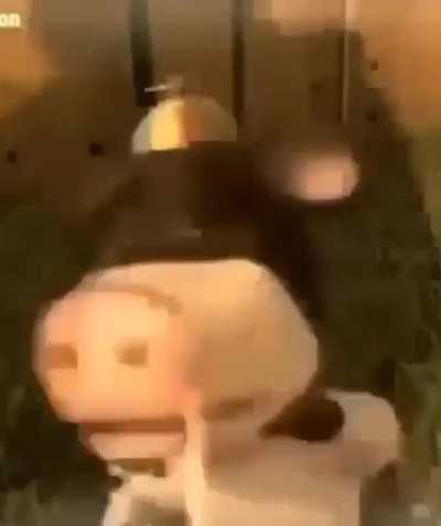 MoldyMemes - Video #4596