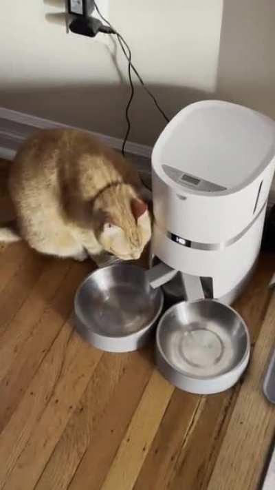 Surrender your treasures