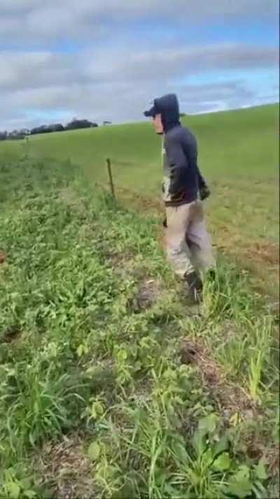 A natureza agiu por si kkkkkk