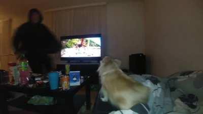 Dog doesn't like people dabbing