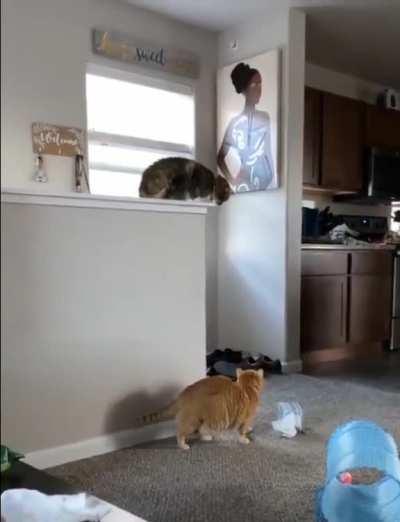 omg why did he do it??