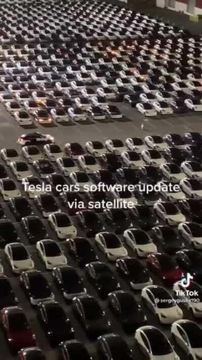 AND THE CROWD GOES WILD