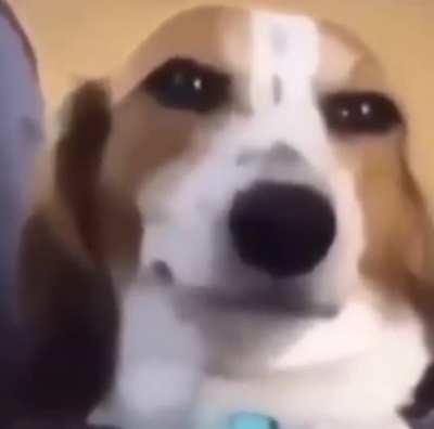 Make a title and I’ll pick the best one