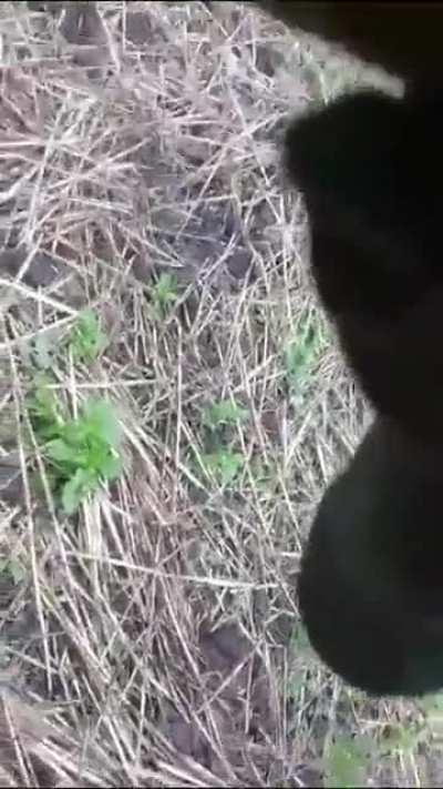 RU POV. Russian soldiers inspecting destroyed Ukrainian M2 Bradley IFV