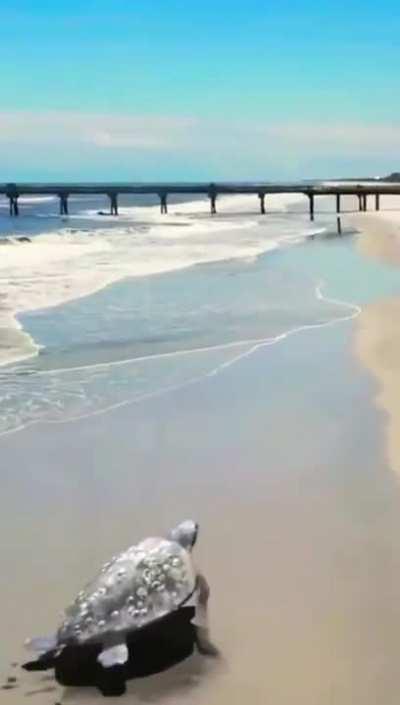 Mbappe trying to get to Real Madrid but then he remembers PSG owes him some Money .