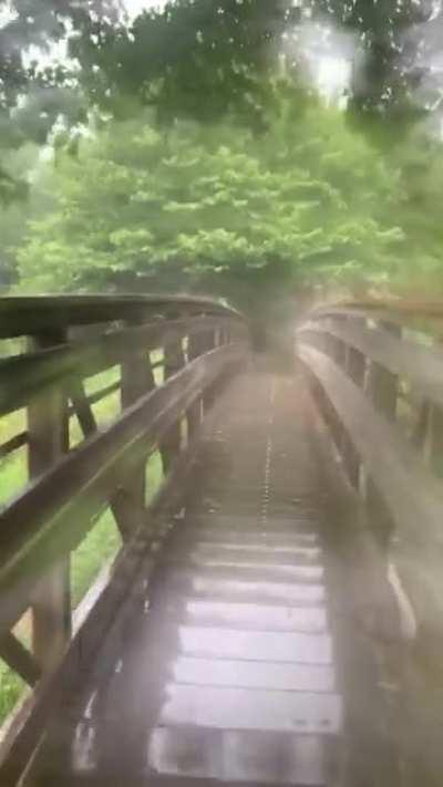 My brother got caught in this wonderful summer rain on a bridge during his morning walk ❤️