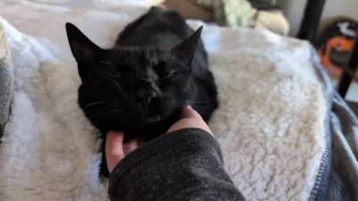 Those bright green happy eyes 👀