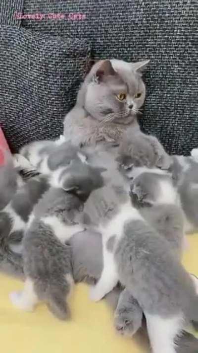 Tired or pissed off? 🤩🙃