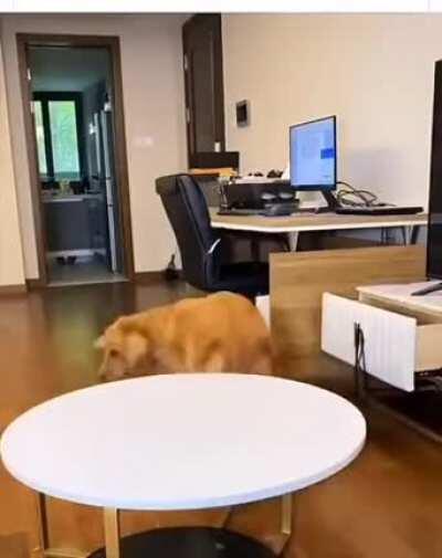 And the OSCAR goes to!