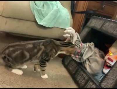 Rumor has it he safely landed at the space station