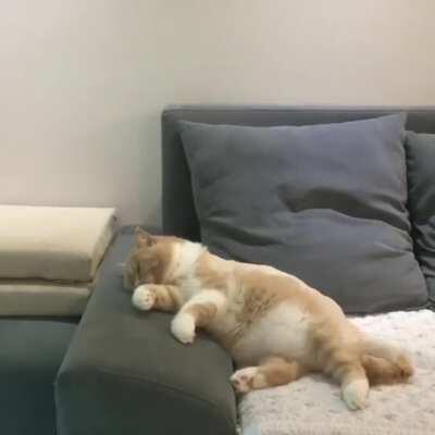 Riding a new bike while dreaming then crashing it