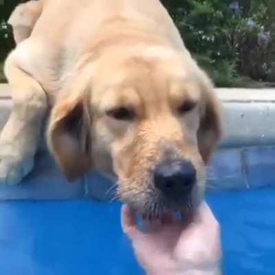 Don’t stop petting me!