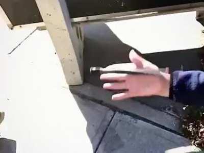 Finger less freestyle at school