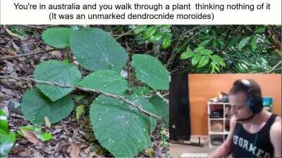 You didn't notice it until it stung you. You regret going alone.