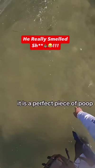 Blursed_Perfect_Piece