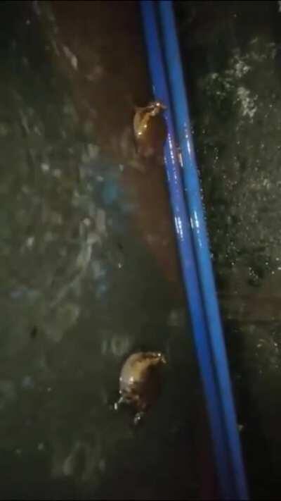 I found this a while ago and loved it, not sure who it belongs to tho