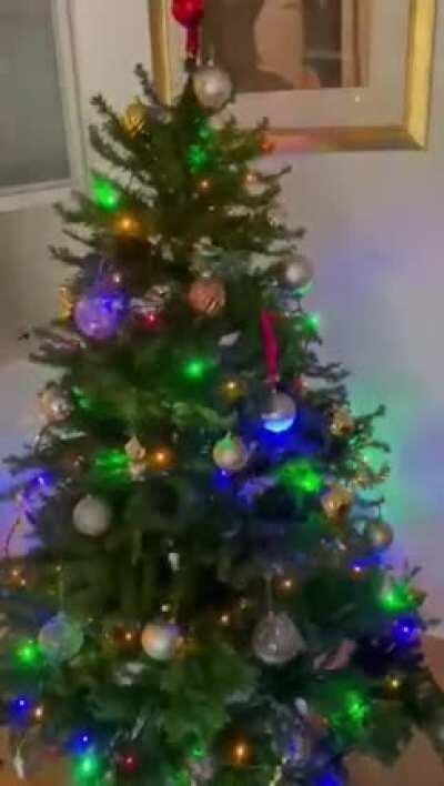 Dnevna doza prosječnog Rvatine