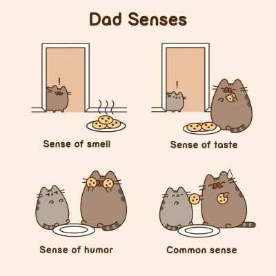 4 senses of dads