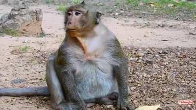 It’s sweet pea saturday