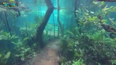 Underwater hiking trail in Brazil due to flooding from heavy rainfall