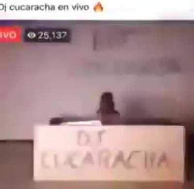 DJ CUCARACHA 🔥🔥🔥🔥🔥🔥🔥
