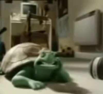 Here you go, some footage of a singing arab turtle.