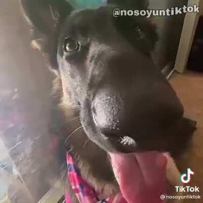 Has this been posted here before?