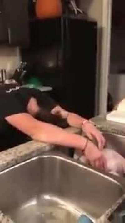 Dad pranks daughter telling her, the turkey neck is actually its penis