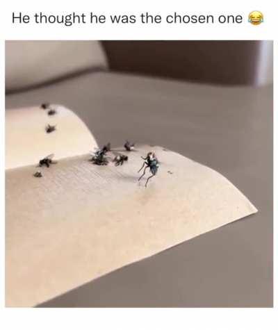 To be the chosen one..