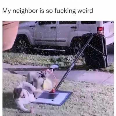 What will you do with a hoop?