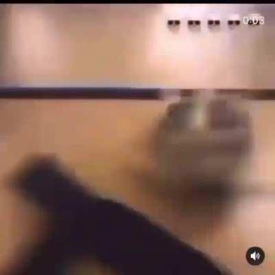 POV: you bring your turtle for show n tell day and the bullies snatch that lil nigga