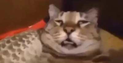 Performance starts at 9:00 PM, Ye at 8:59 PM