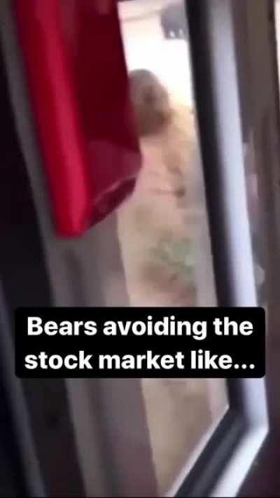 Whomst 🐻? Comment your moves for this week