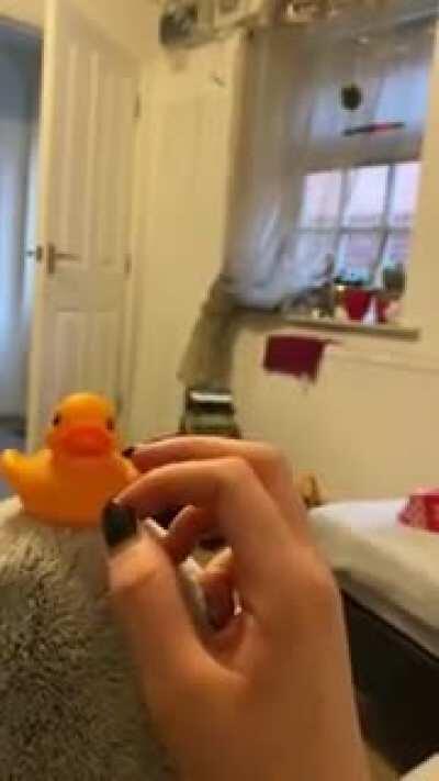 Don't pet that...pet me!