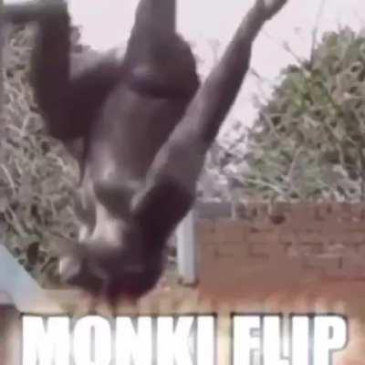 Zeke coming back in chapter 135 like: