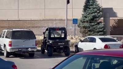 1000 Sheep, Cowboys, Main Street Parade- wcgw?