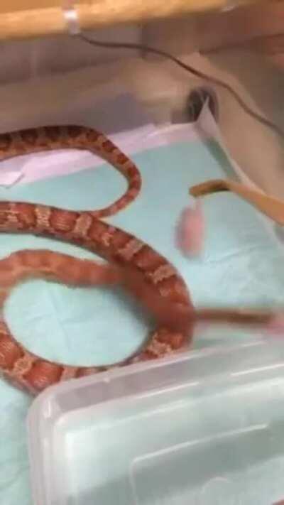 When your ping suddenly reaches 200