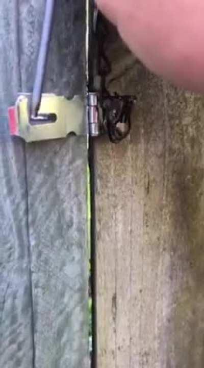 Perfectly executed gate latch installation