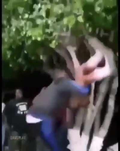 A dança do acasalamento 