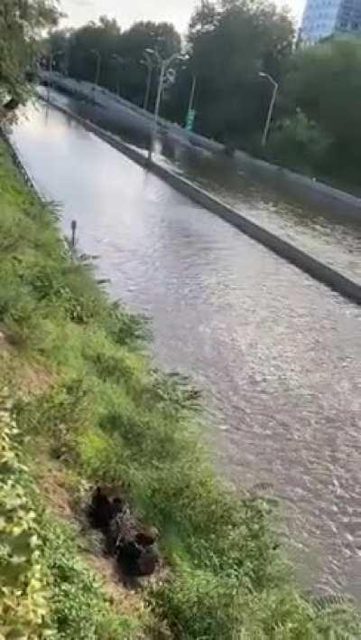 Bronx river parkway right now
