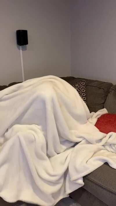 Hate it when I lose the remote 🤦‍♀️