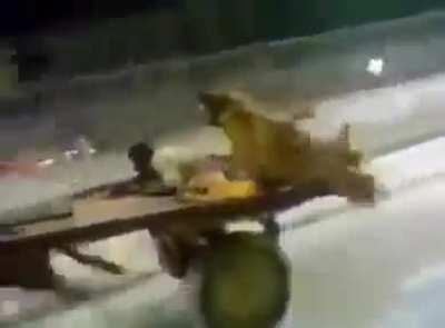 It was going so fast that they time travelled into the future